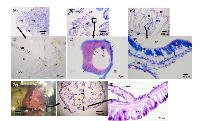 fig3